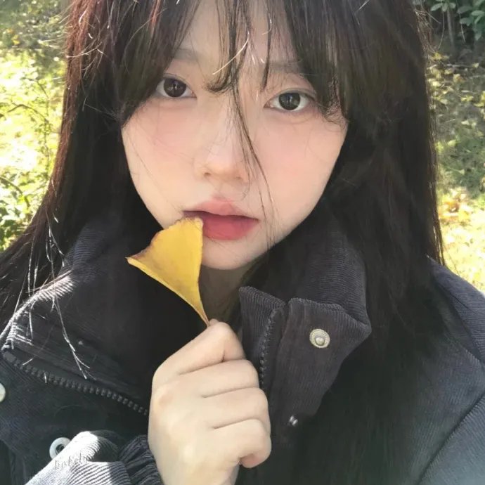 叔比狗露营惊魂记